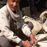 Salt trader checking one of his 9 kg. saddlebags, which are filled with salt and carried by goats from the Tibetan salt bazaars into Nepal's middle hills. Yangkar, Nepal.