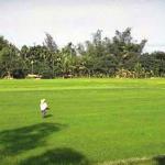 Fields along Highway One outside Qui Nhon.