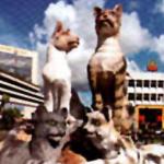 Cat Statue In Kuching Town Center