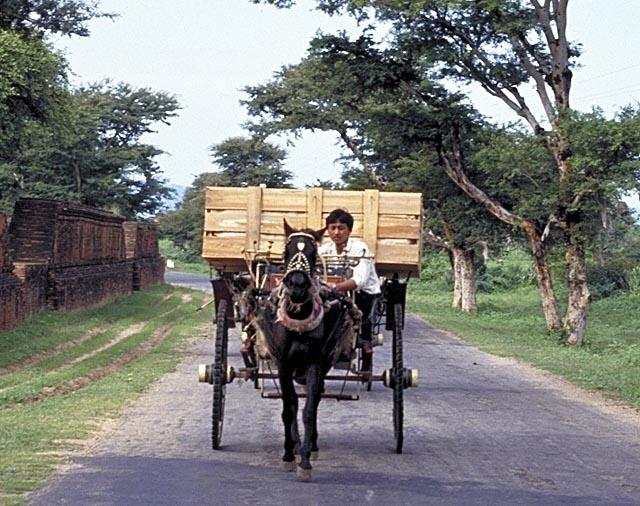 Horse cart, Bagan, Burma.