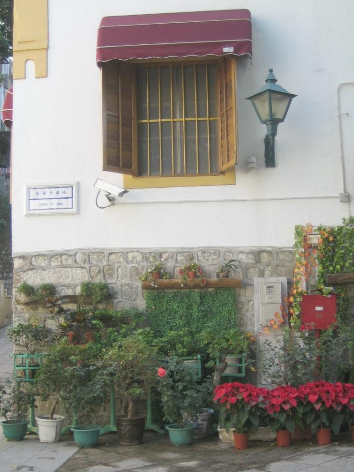 Flowers at Largo do Lilau, Macau.