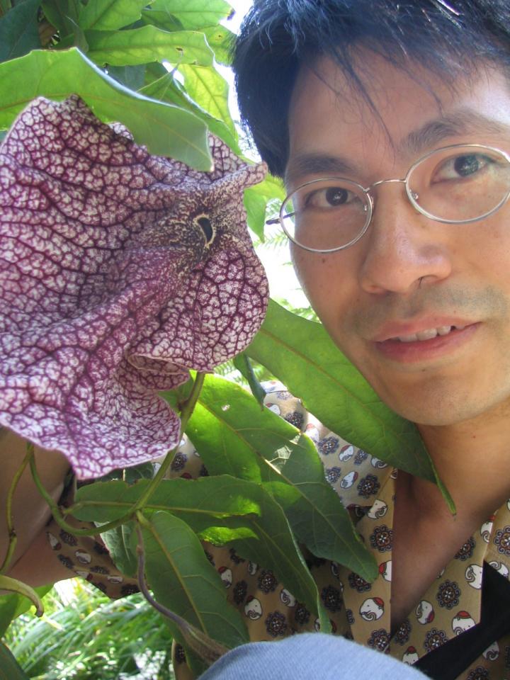 Me and Aristolochia westlandii at Kyoto Botanical Garden