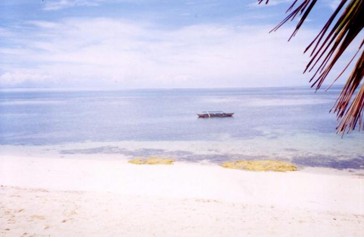 The cool waters of Siquijor