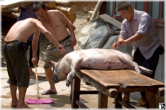 Schlachttag (Datang, Prefecture Qian Dong Nan, Guizhou province)
