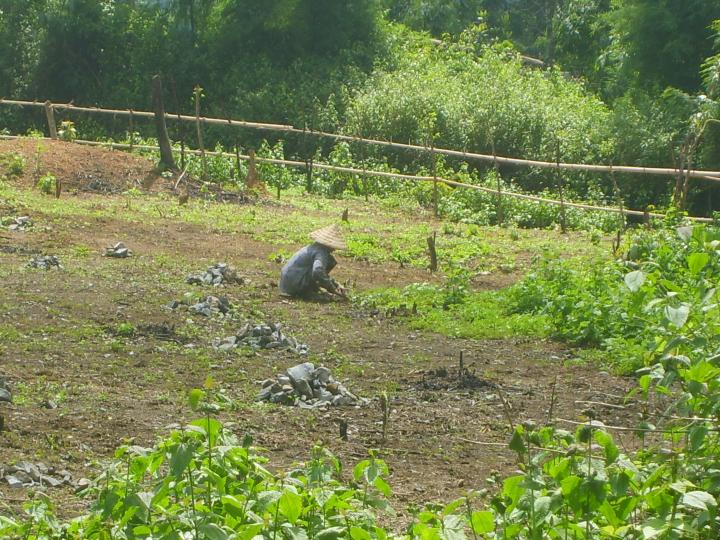 Rural Laos at its serene best.