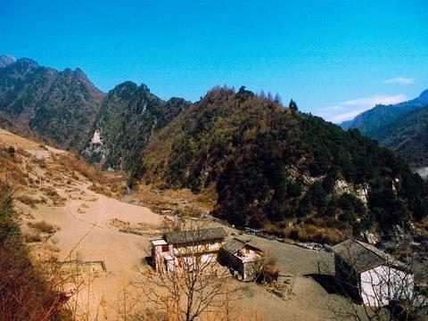 Wolong Nature Reserve is the largest nature reserve with the most complex nature conditions, and the most rare plants and animals.