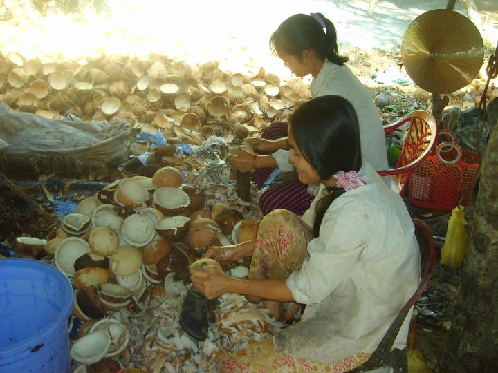 Workers at a coconut factory shelling plant.