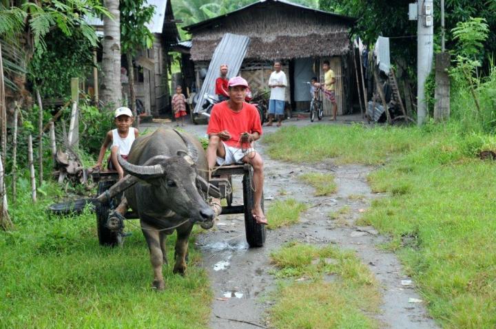 Mindanao, Travel & Traits.     