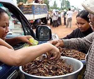 A shopper buys crickets from street vendors in Phum Thun Mong, Cambodia.