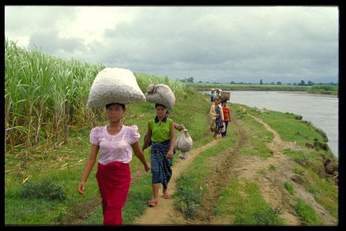 The narrow path rubbed into the banks of the Sittaung River acts as an important trade route for villagers from Swar Yarma.