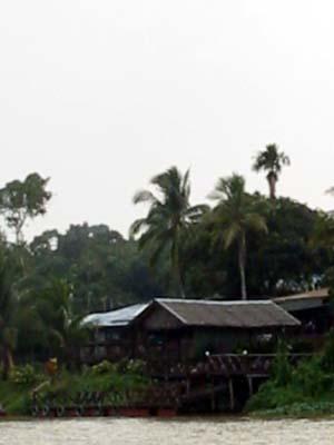 During our trip to Sukau, we stayed at chalets like this. Although basic, the chalets are equipped with en-suite bathrooms and have solar-heated hot water.