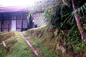 Tudor houses up in Fraser's Hills are still a common sight.