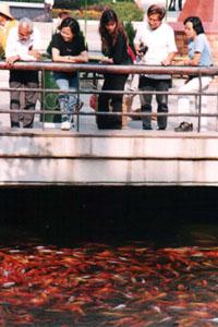 My Family Members and I...