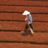 Preparing a field. Dalat, Vietnam.