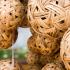 Rattan balls used for sepak takraw