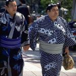 The Tokyo district of Rygoku is home of one of Japan's most famous Sumo wrestling facilities. Sumo wrestlers train very strenuously for their six annual basho tournaments, and must consume up to 10,000 calories a day to achieve and maintain their enormous stature. When they're not in training however, they can be seen strolling the city sidewalks wearing blue and white cotton robes called yukata.