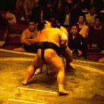 The Tokyo district of Rygoku is home of one of Japan's most famous Sumo wrestling facilities. Sumo wrestlers train very strenuously for their six annual basho tournaments, and must consume up to 10,000 calories a day to achieve and maintain their enormous stature. When they're not in training however, they can be seen strolling the city sidewalks wearing blue and white cotton robes called yukata.