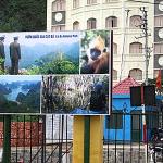 Conflict of interests: a billboard advertising tourist attractions in the shadow of a newly-build luxury hotel. Such hotels are ruining the ecology of Cat Ba Island.