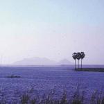 Traveling by train in Thailand