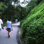 The Peak Circuit trail.