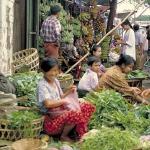 Each morning the local women spread the days produce out on the roadside.