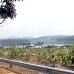 The lake at Putrajaya, Malaysia. 