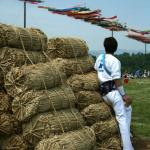The Sagami Kite Festival, held during Golden Week in May each year features some of the largest kites in Japan, some weighing over a ton.
