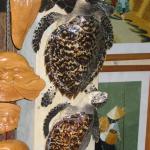 Things not to buy in Ha Noi. Sea turtles are highly endangered yet they still show up in gift shops and in restaurants across the country.