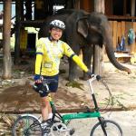 Elephant and Bike Friday Tikit bicycle - both utterly reliable and zero emission transports!