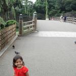 On bridge heading towards the Imperial Palace