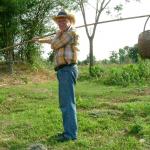 On an ant hunt in Thailand