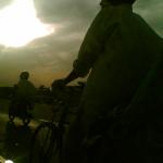 Gloomy appearance On Road