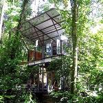 Glass shed at Sekeping Serendah.