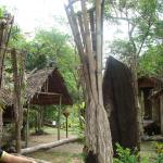 Huts in Monsopiad Cultural Village
