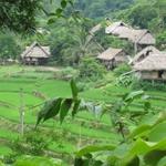 Pu Luong National Reserve