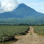 Philippines, Mindanao, Mt. Matutum