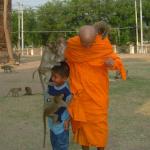 The world’s first Monkey Hospital, located in the city’s zoo, Lopburi, 160km north of Bangkok,Thailand.