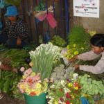 A flower stall provides a burst of colour and scent. Russian market, Phnom Penh, Cambodia.