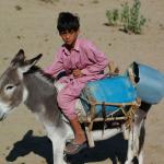 Donkey driver kid, Thar desert.