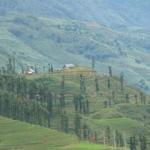 Sapa Valley view