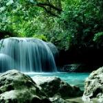 The alluring Kawasan Falls in Badian Cebu