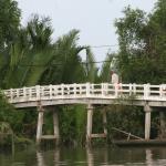 It takes awhile to wake up during the morning commute 