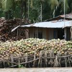 Home-based businesses are becoming popular