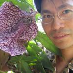 Me and Aristolochia westlandii at Kyoto Botanical Garden