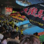 Flag waving by Hanshin Tiger fans.