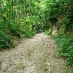The path to Hagimit Falls, Samal Island, Davao, Mindanao, Philippines
