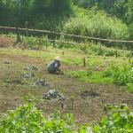 Rural Laos at its serene best.