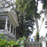 Bogor Botanic Garden