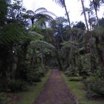 Cibodas Botanic Garden