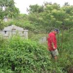 Tombstones have been incorporated into the course
